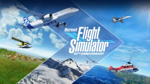 Microsoft Flight Simulator