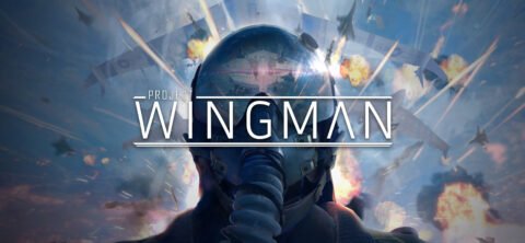 Project Wingman