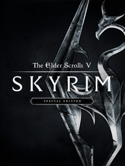 The Elder Scrolls V Skyrim Special Edition