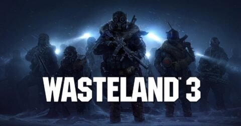 Wasteland 3