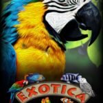 buy Exotica Petshop Simulator