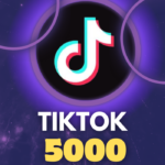 5,000 TikTok Likes