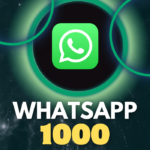 1000 WhatsApp Channel Followers
