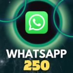 250 WhatsApp Channel Followers